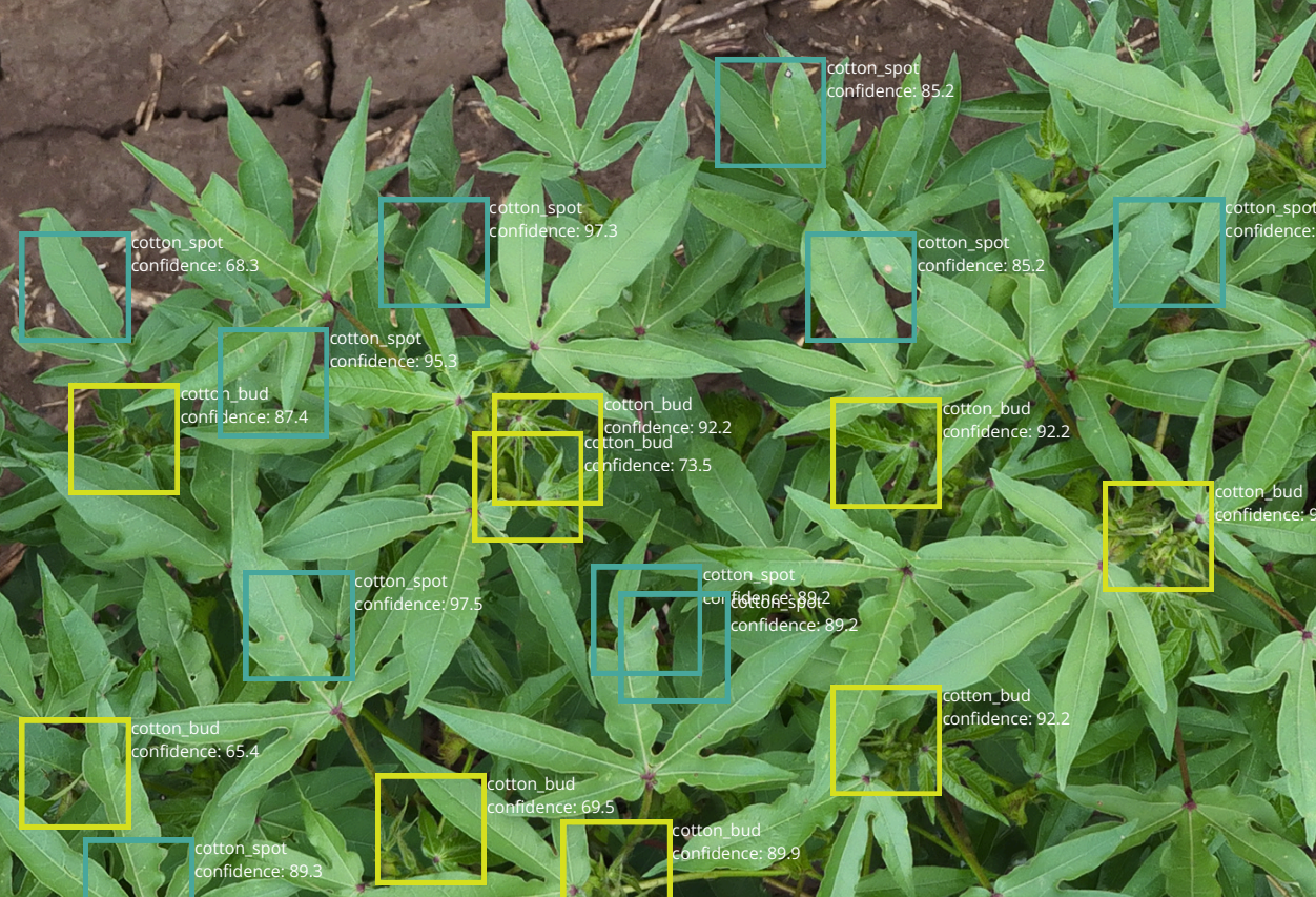 AI Detection Across Your Orthomosaic