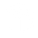 Offline Report Builder